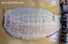 UP Kibo X  M / EN B / 2024