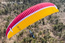UP Torre L 95-115 Kg neu